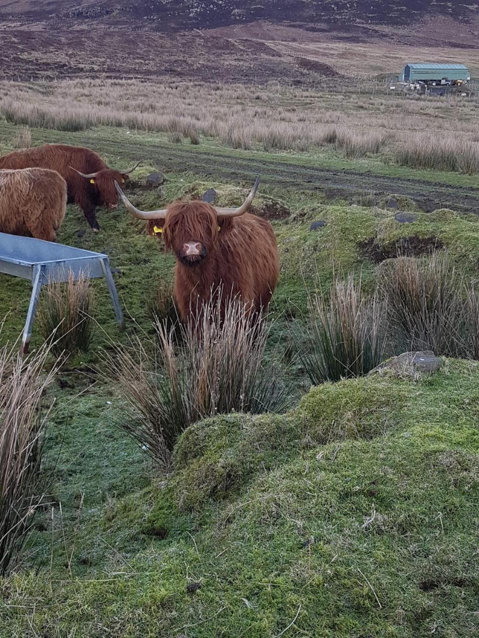 Trotternish B&B Kingsburgh Esterno foto